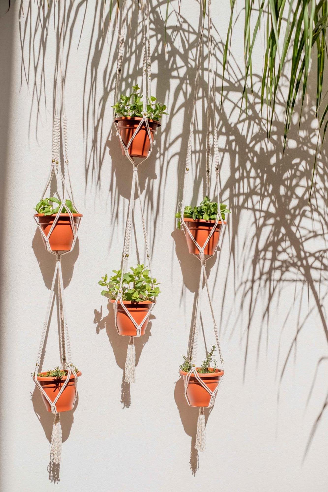 Casa Creativa لاغوس المظهر الخارجي الصورة
