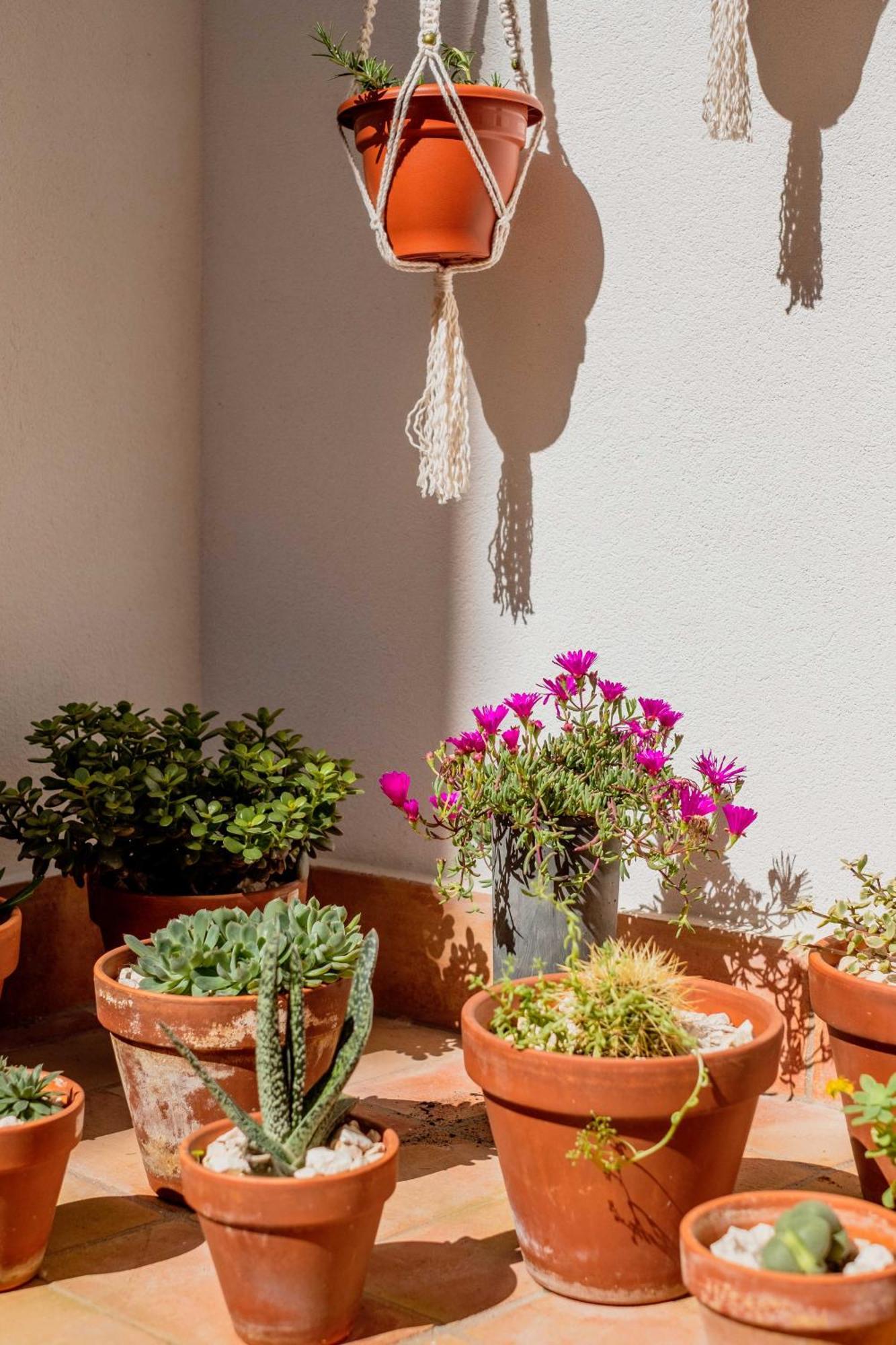 Casa Creativa لاغوس المظهر الخارجي الصورة